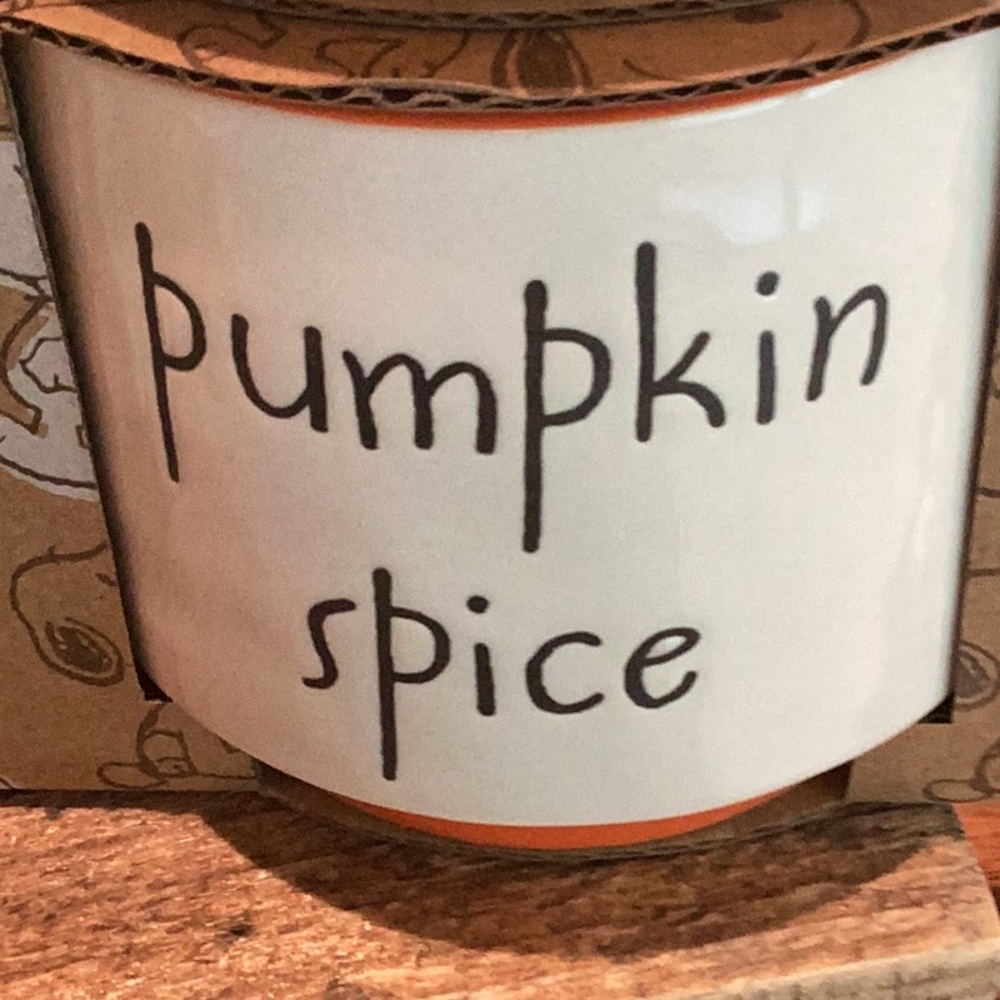 Peanuts x Rae Dunn Fall Ramekin Set - Picture 9 of 12